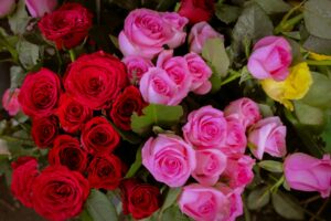 A stunning bouquet of red and pink roses with hints of yellow, perfect for any occasion.